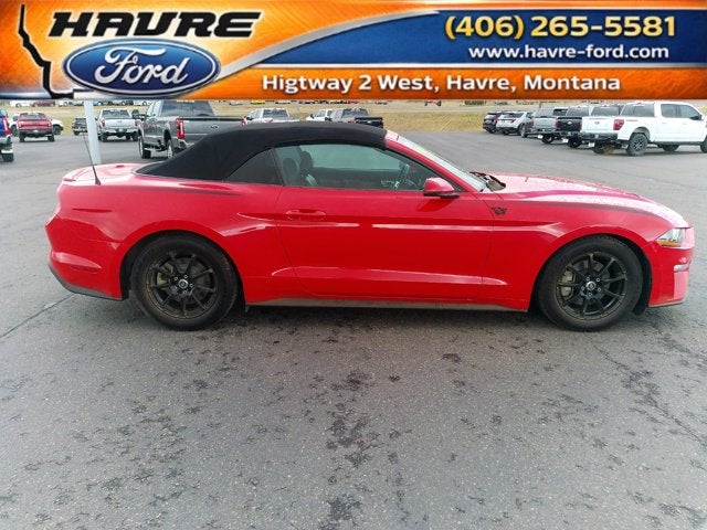 2019 Ford Mustang BASE