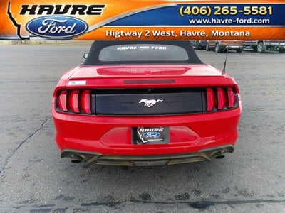 2019 Ford Mustang BASE