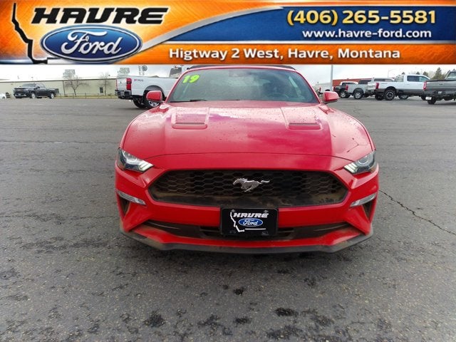 2019 Ford Mustang BASE