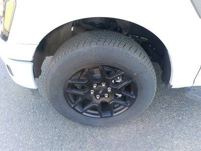 2025 Ford F-150 STX®