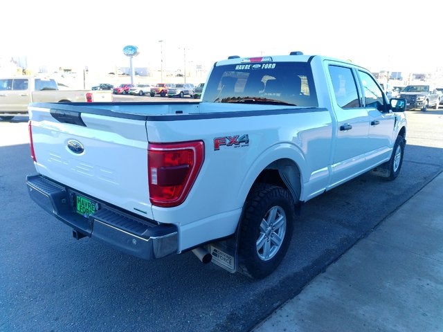 2023 Ford F-150 BASE