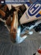 2023 HUSQVARNA Tc250 BASE